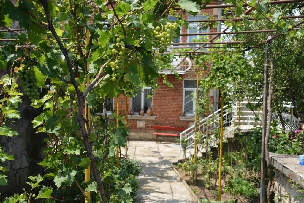 Кутаиси: Friends House in QD