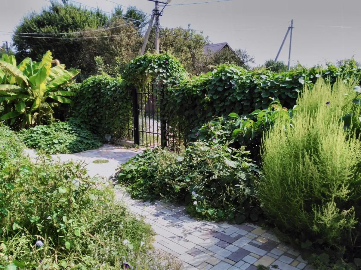 Кучугуры: Guest House Provence