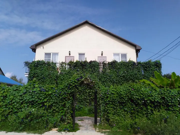 Кучугуры: Guest House Provence
