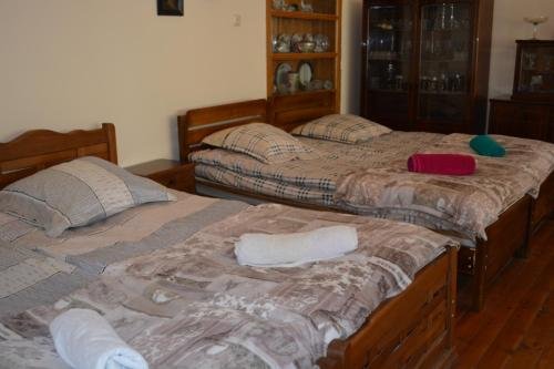 Степанцминда: Guesthouse Patuka