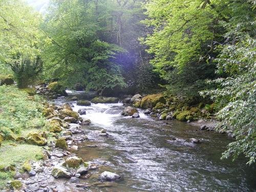 Букнари: Mega Grand