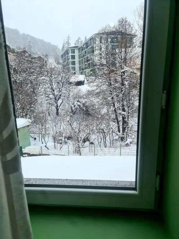 Бакуриани: Bakuriani Nice Hotel
