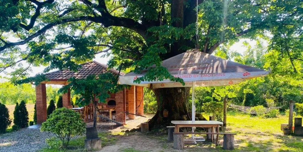 Мартвили: Guesthouse Kamelia