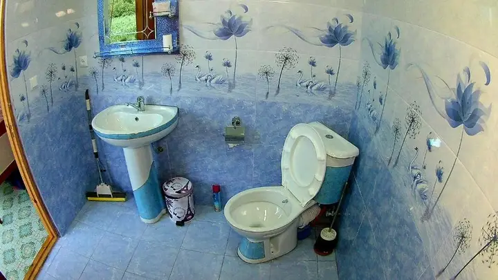 Мартвили: Guesthouse Kamelia