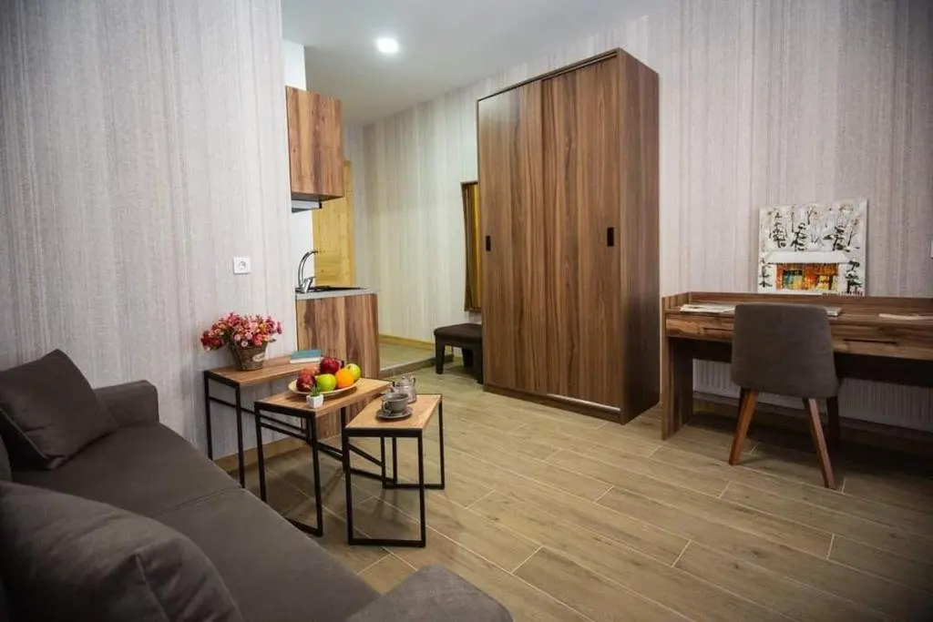 Бакуриани: Didveli Gallery Apartment B_401 / დიდველი გალერეა აპარტამენტი B_401
