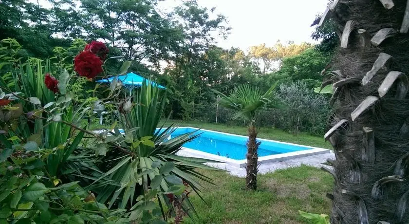 Шекветили: Black Sea House Hotel
