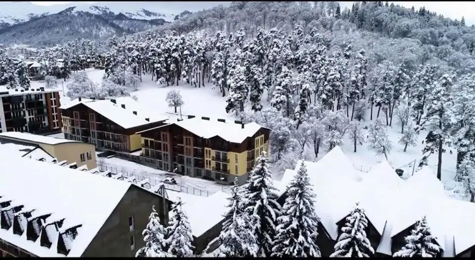Бакуриани: Bakuriani park rezidence