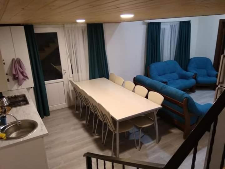 Бакуриани: Apartment for friends