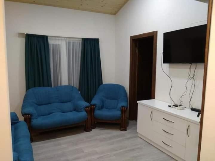 Бакуриани: Apartment for friends