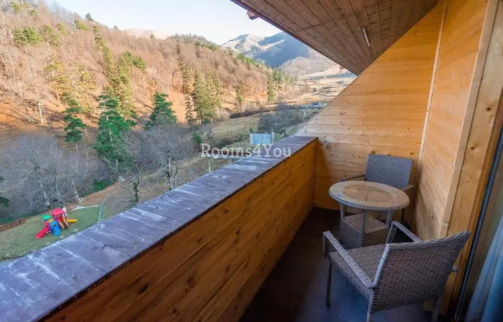 Бакуриани: Apartment The Valley