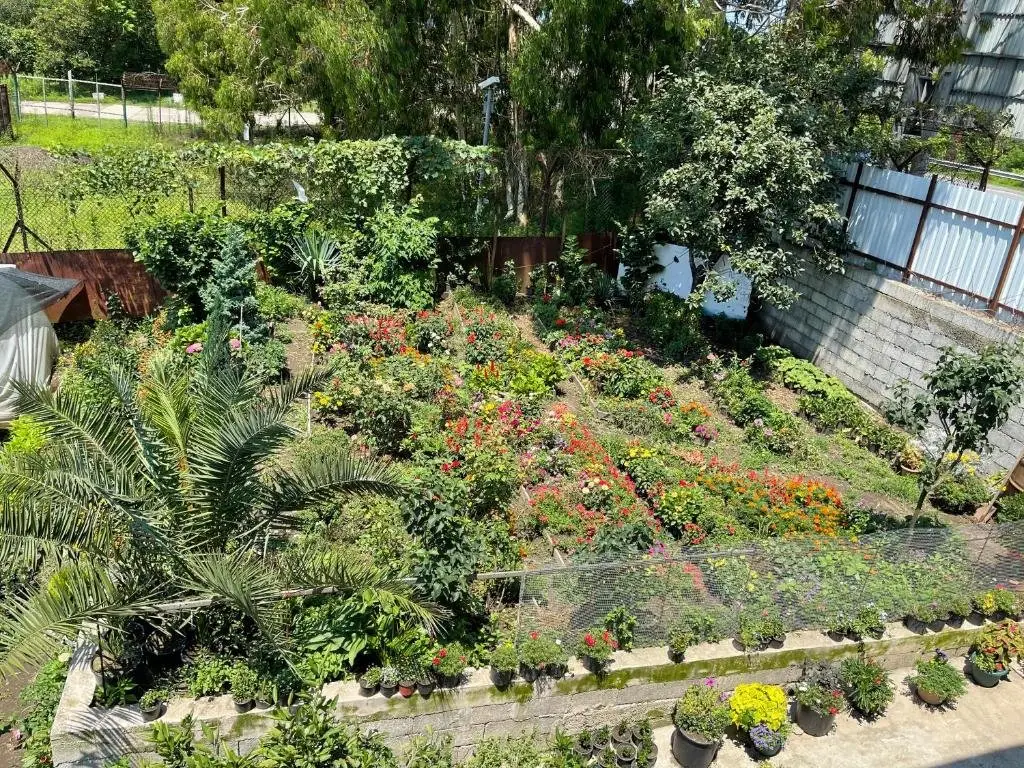 Григолети: Guest House Passiflora პასიფლორა