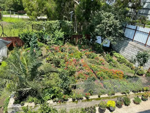 Guest House Passiflora პასიფლორა — фото 1