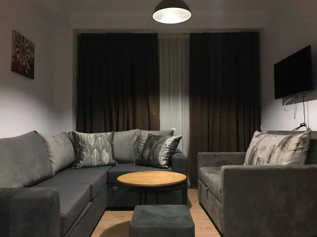 Бакуриани: Room in aparthotel Mgzavrebi X Bakuriani
