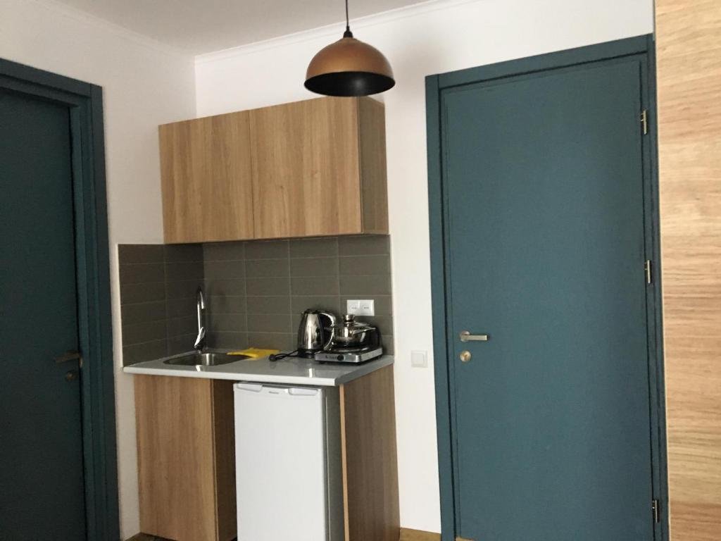 Бакуриани: Room in aparthotel Mgzavrebi X Bakuriani