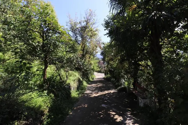 Батуми: Guest house and cellar winery in Ortabatumi Batumi Georgia