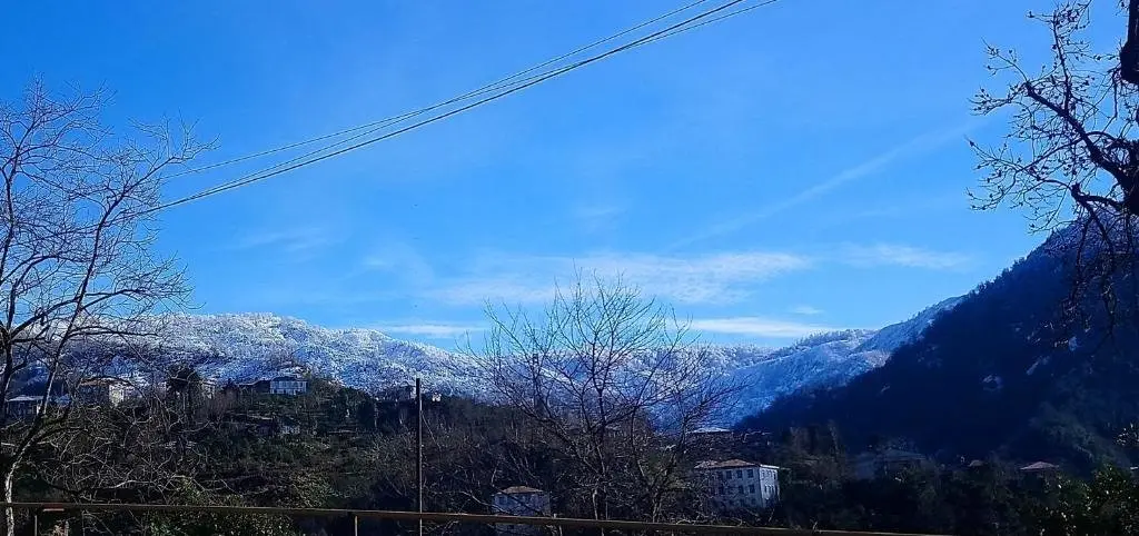 Батуми: Guest house and cellar winery in Ortabatumi Batumi Georgia