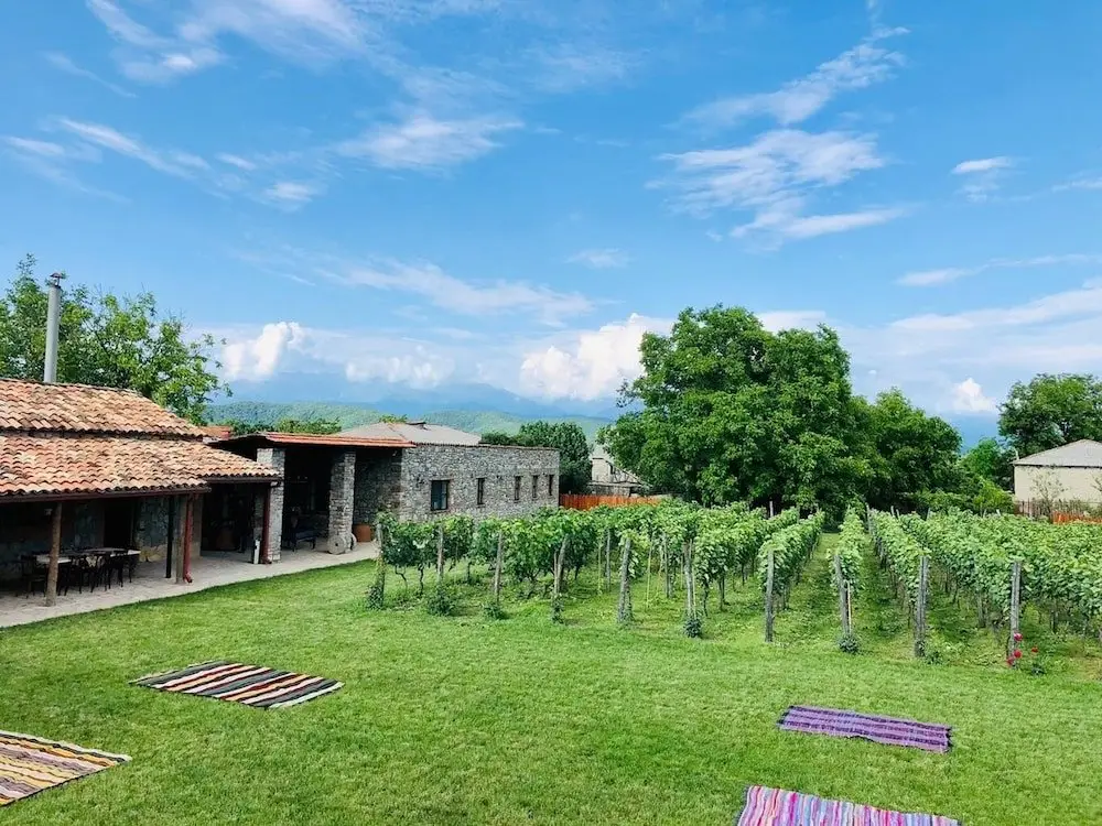 Ахмета: Отель Giorgi Ushikishvili Chateau Celler