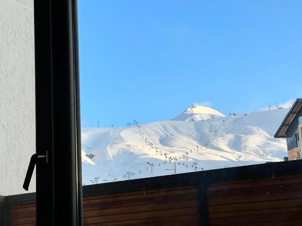 Гудаури: Gudauri Twins Hotel Ski Resort