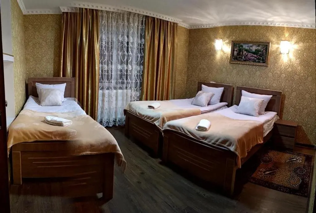 Степанцминда: Sophia's Guest House