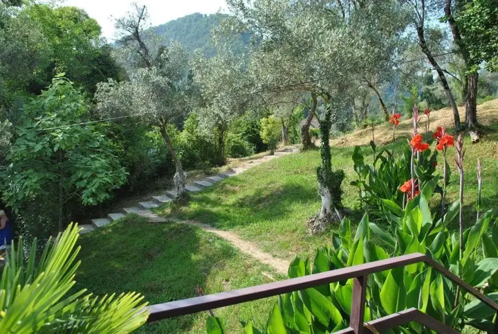 Новый Афон: Villa Oliva