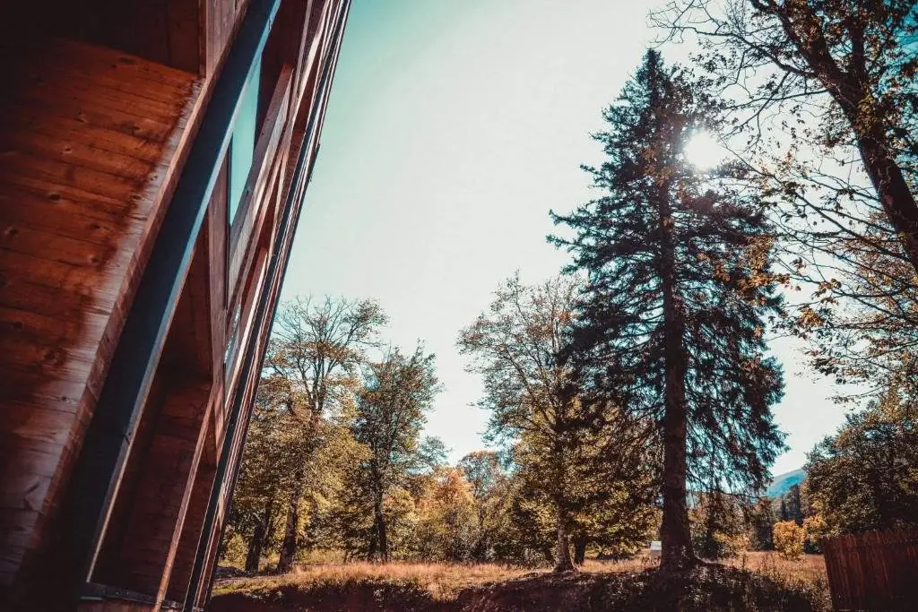Бакуриани: Appartment Valley in Bakuriani