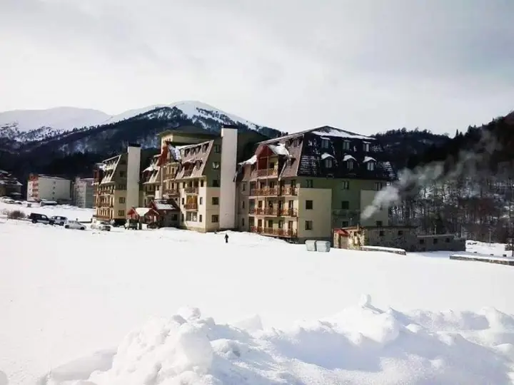 Бакуриани: Bakuriani Hills Apartment
