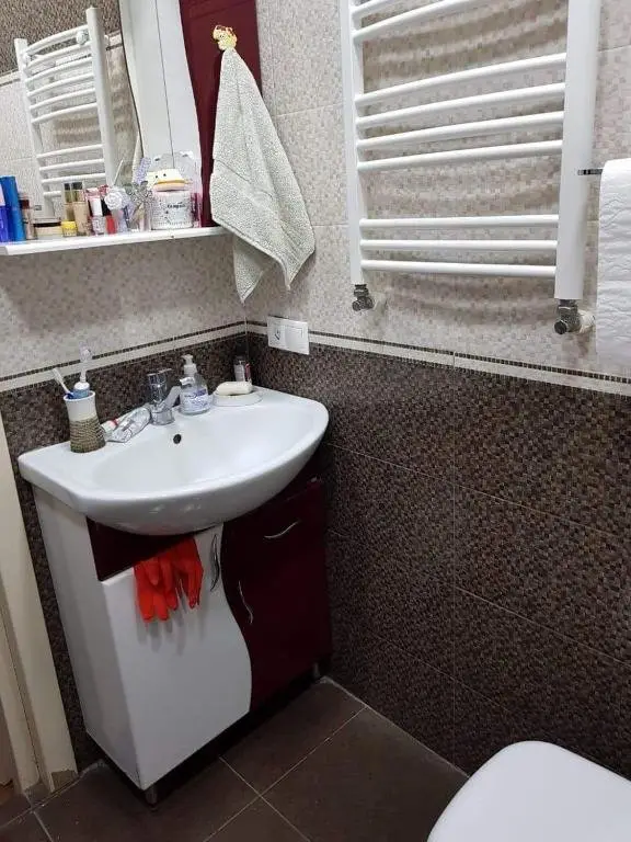 Бакуриани: Bakuriani New Apartment