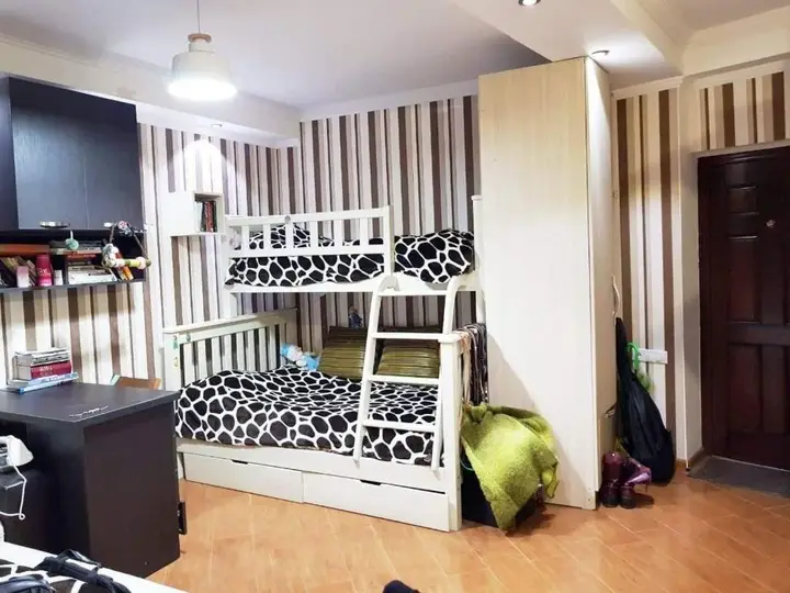 Бакуриани: Bakuriani New Apartment