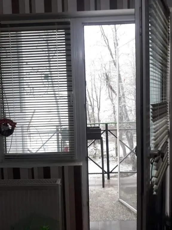 Бакуриани: Bakuriani New Apartment