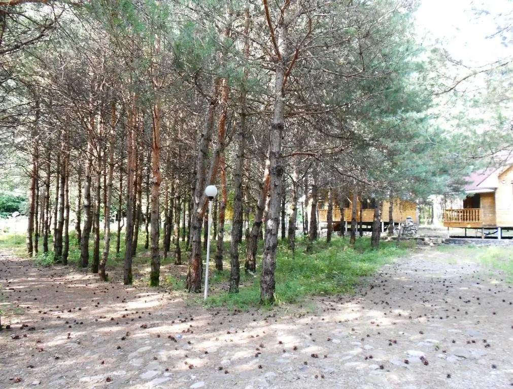 Шеки: Санаторий Health Resort Narin Qala Resort