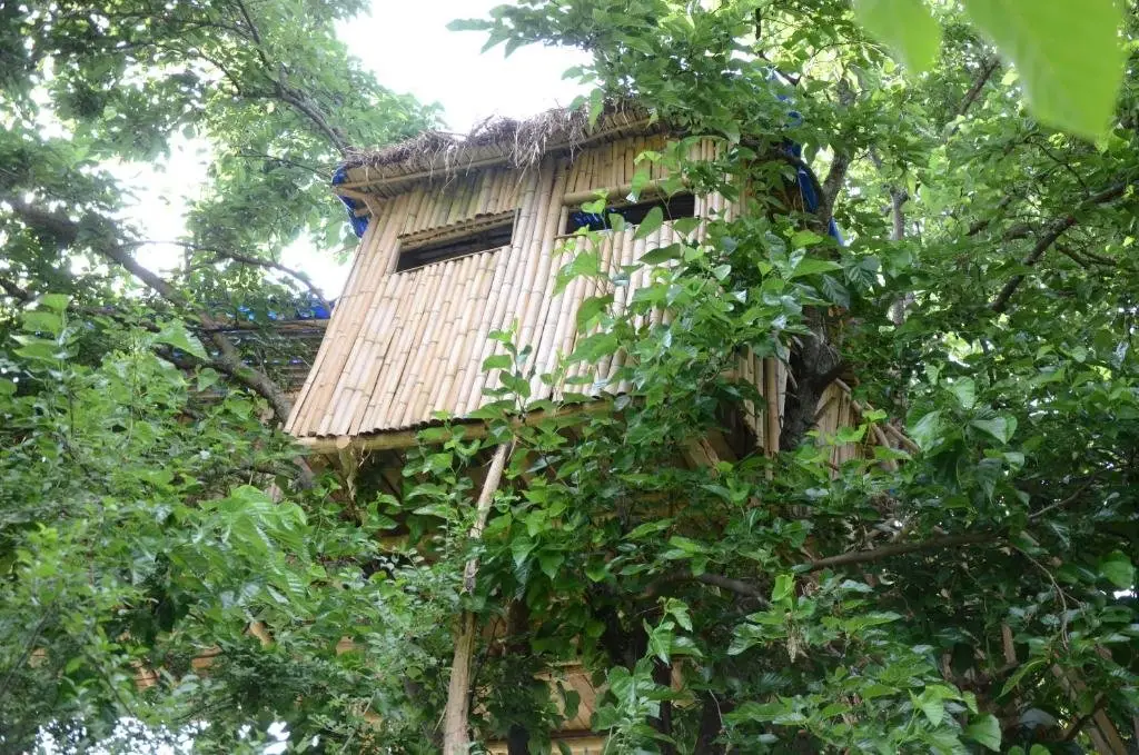 Мартвили: Eagle Nest