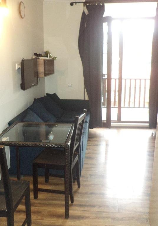 Бакуриани: Mgzavrebi Apartment