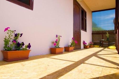 Guest house Lev — фото 1