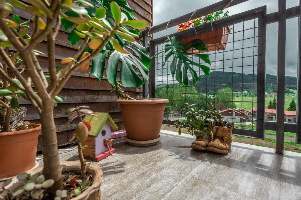 Бакуриани: NoN’s Cozy Apartment-Villa Monte- Bakuriani