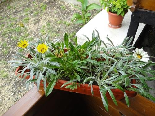 Новый Афон: Коттедж