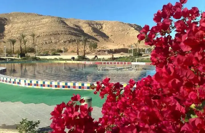 Шарм-эш-Шейх (Шарм-эль-Шейх): Riviera Sharm Resort