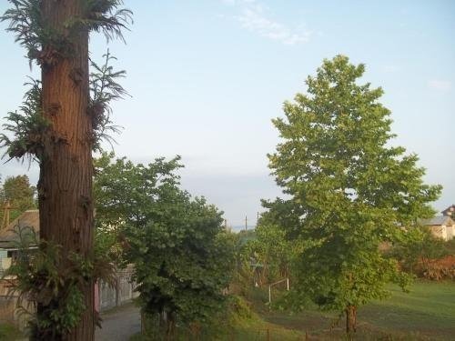Букнари: Cottage RUSOMARI Coast BUKNARI