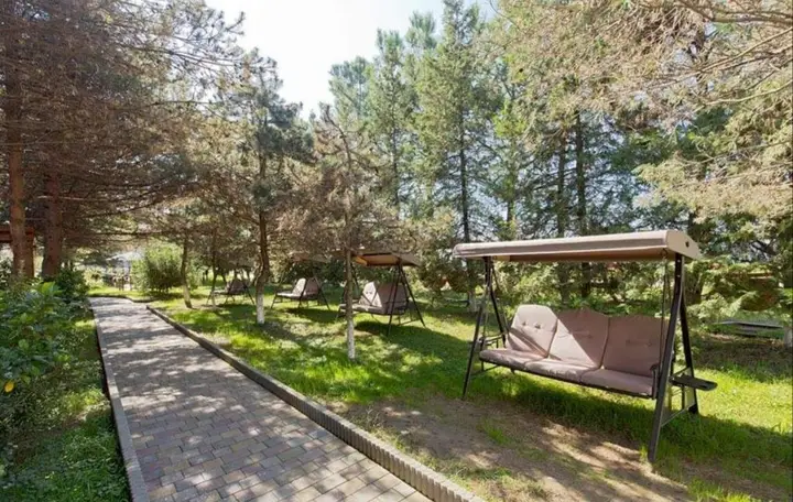 Чакви: Dreamland Oasis of happiness