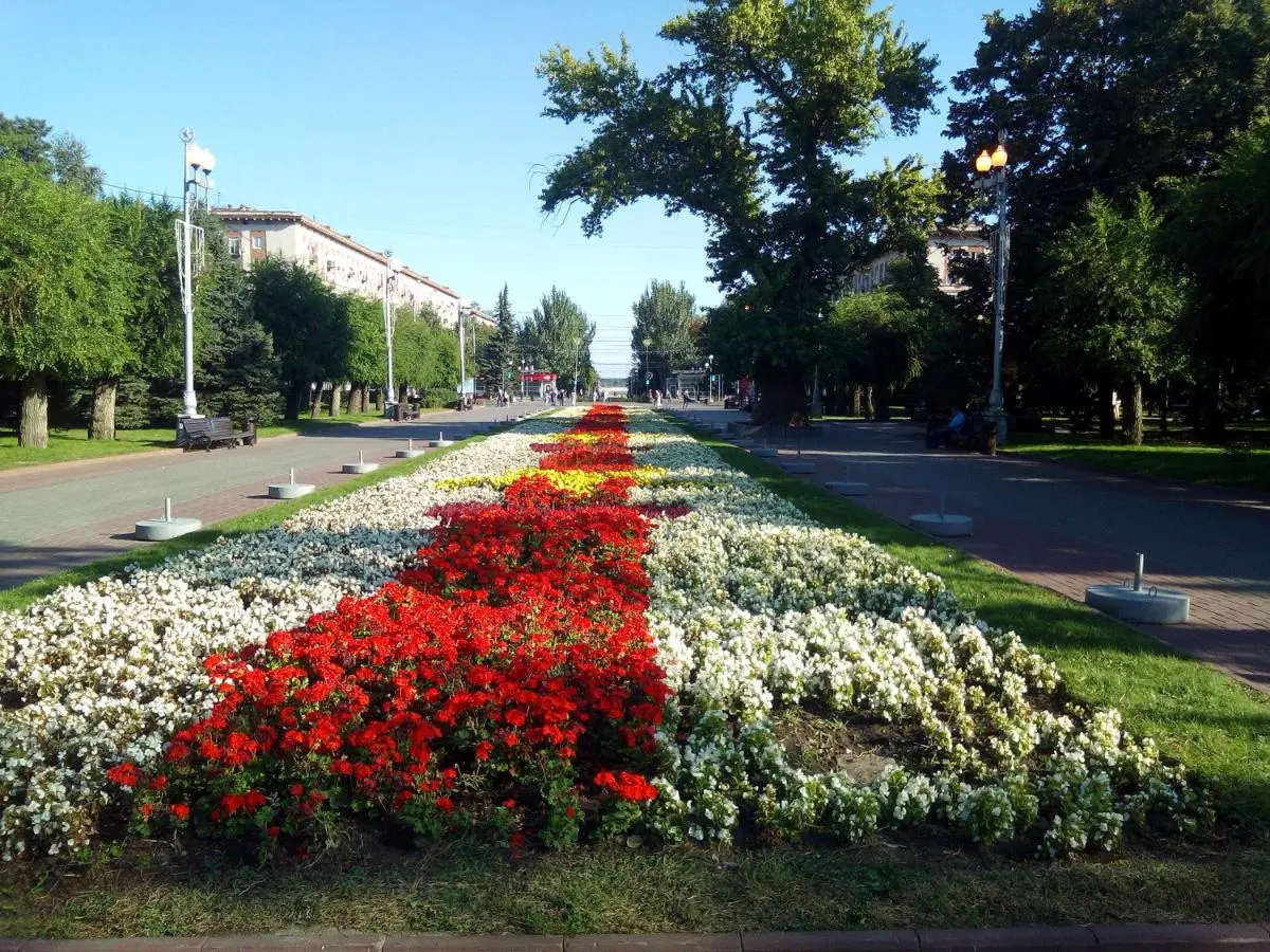 Волгоград: Квартира в центре