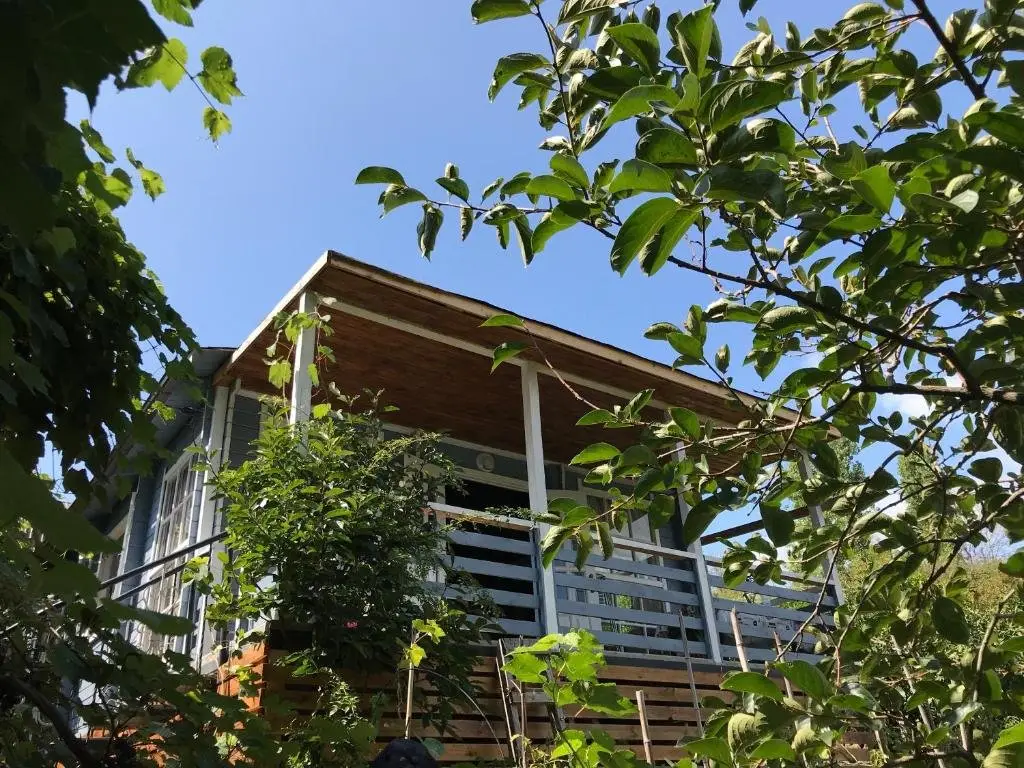 Новый Афон: Eco Cottage Marina