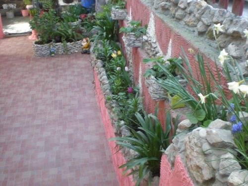 Гагра: General Dbar Guest House