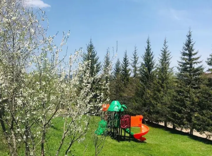 Бакуриани: One-bedroom Apartment in Didveli Residence