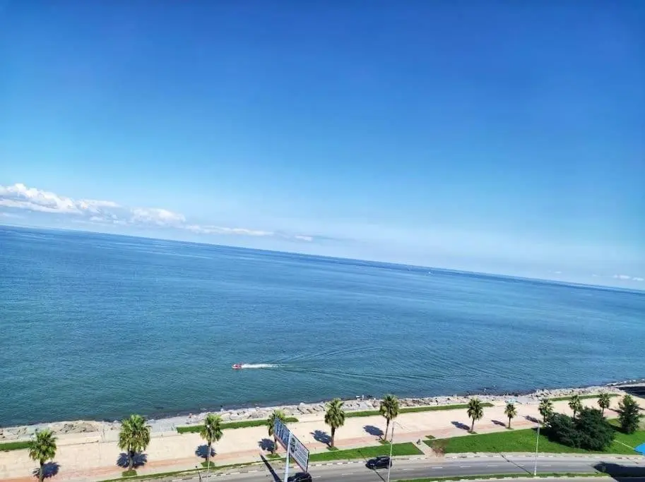 Батуми: Leo Group Luxury Apartment 13-272B Sunrise Batumi