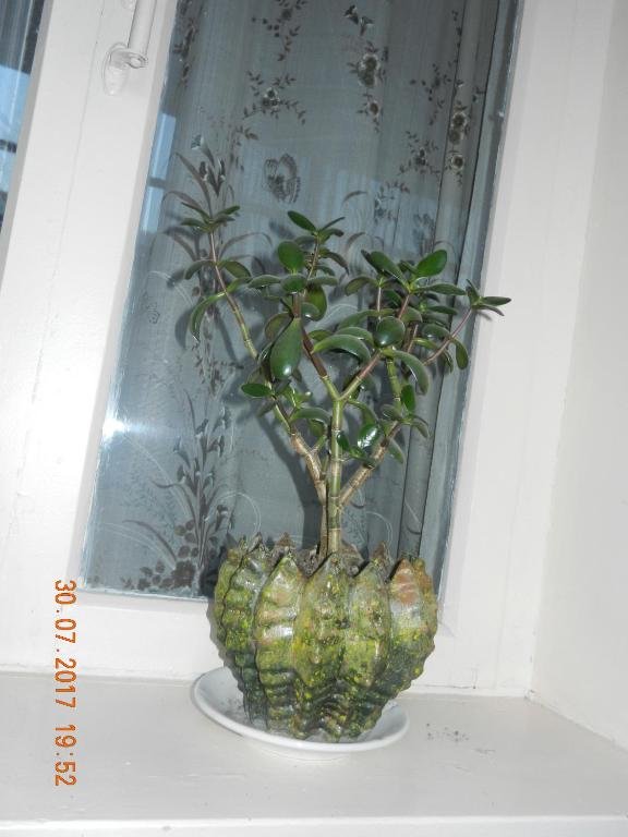 Местиа: Marina Chartolani's guest house