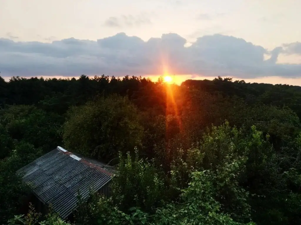 Григолети: Roin Guest House