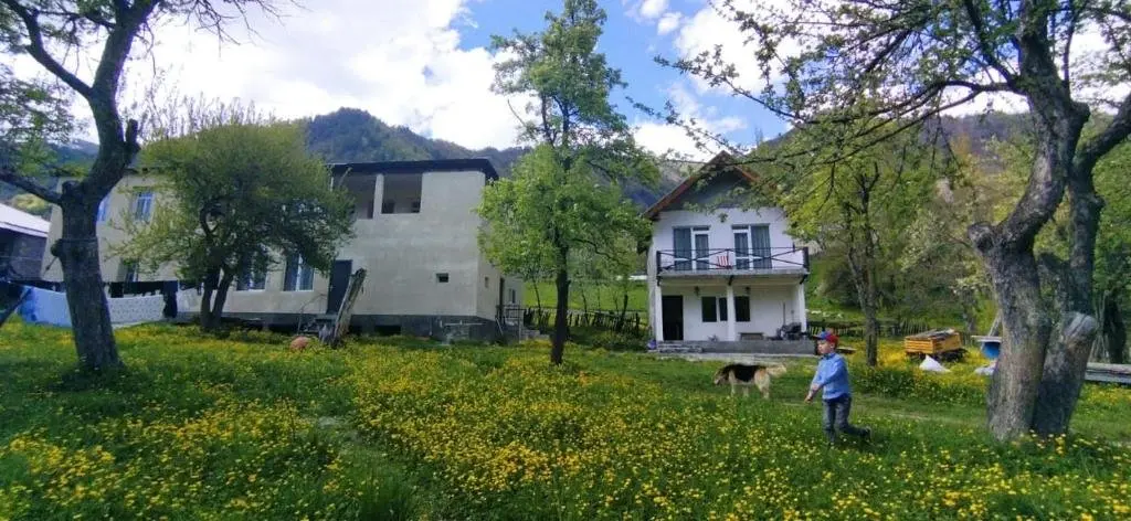 Местиа: Little house Katia Mestia