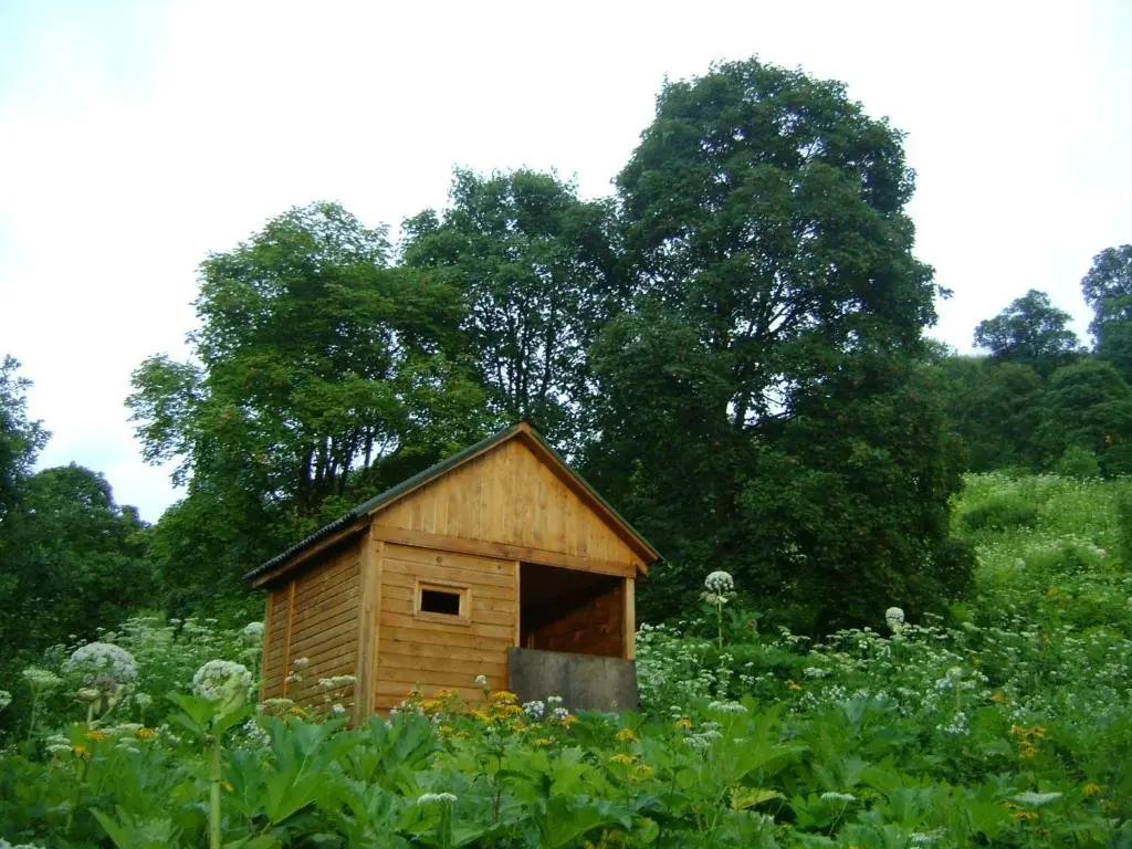 Лагодехи: Ludwig Guesthouse