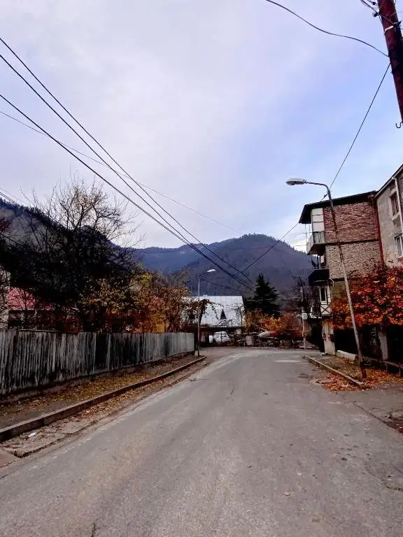 Боржоми: saba gest house