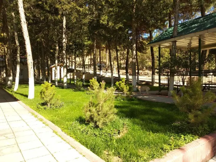 Шахрисабз: Mingchinor Sanatorium