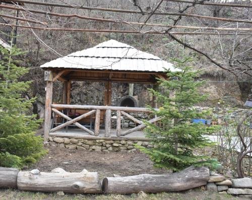 Боржоми: Nikala's house